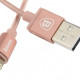 Кабель Baseus Simple Version Lightning RG "MFI сертифицирован"