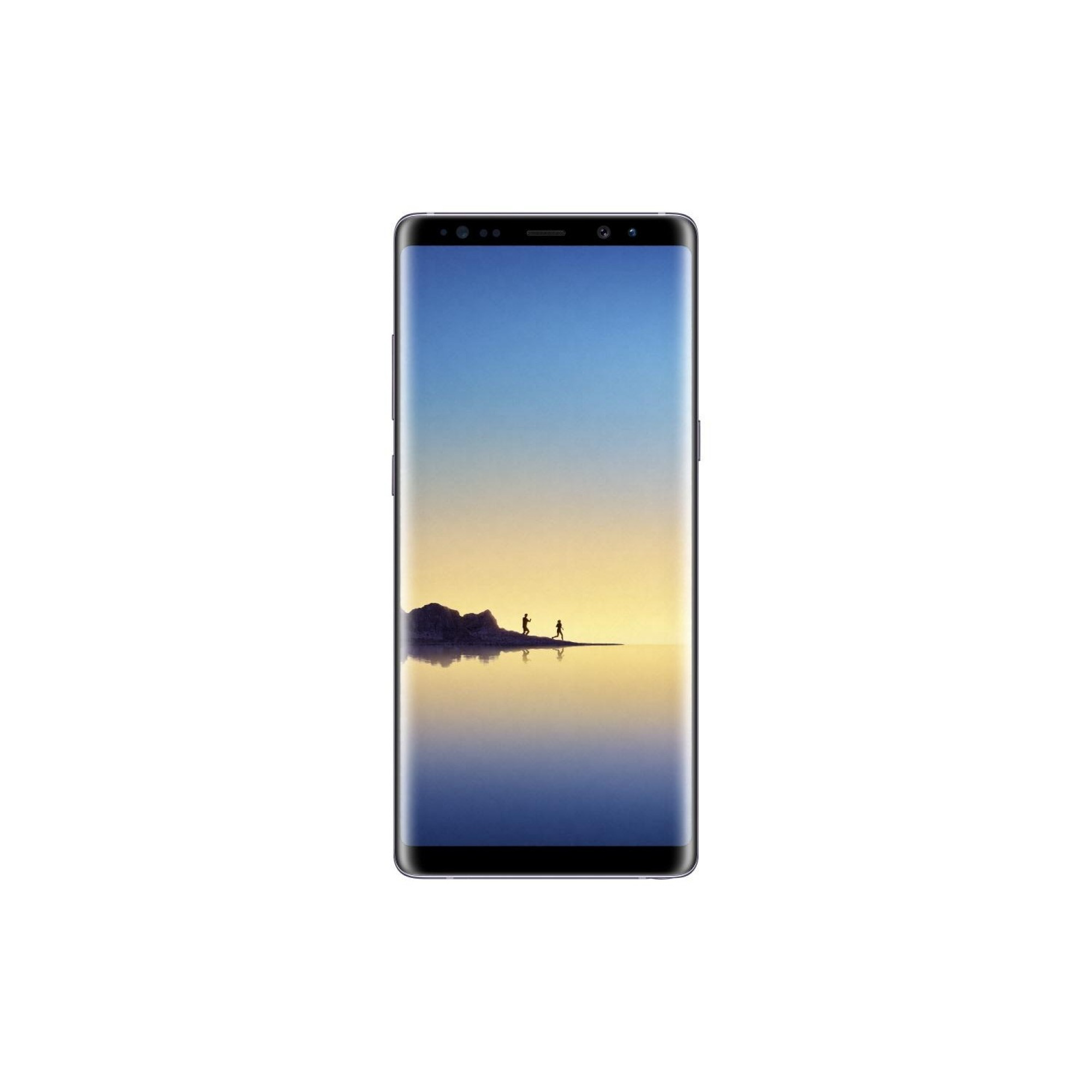 Samsung Galaxy Note 8 N950 DS 6/64GB Gray (SM-N950FZVD)
