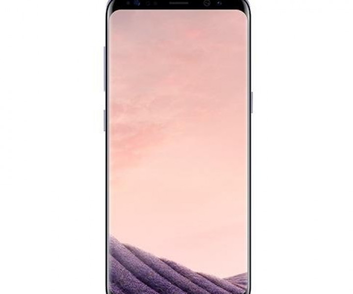Samsung Galaxy S8 G955F DS 4 / 64GB Orchid Gray
