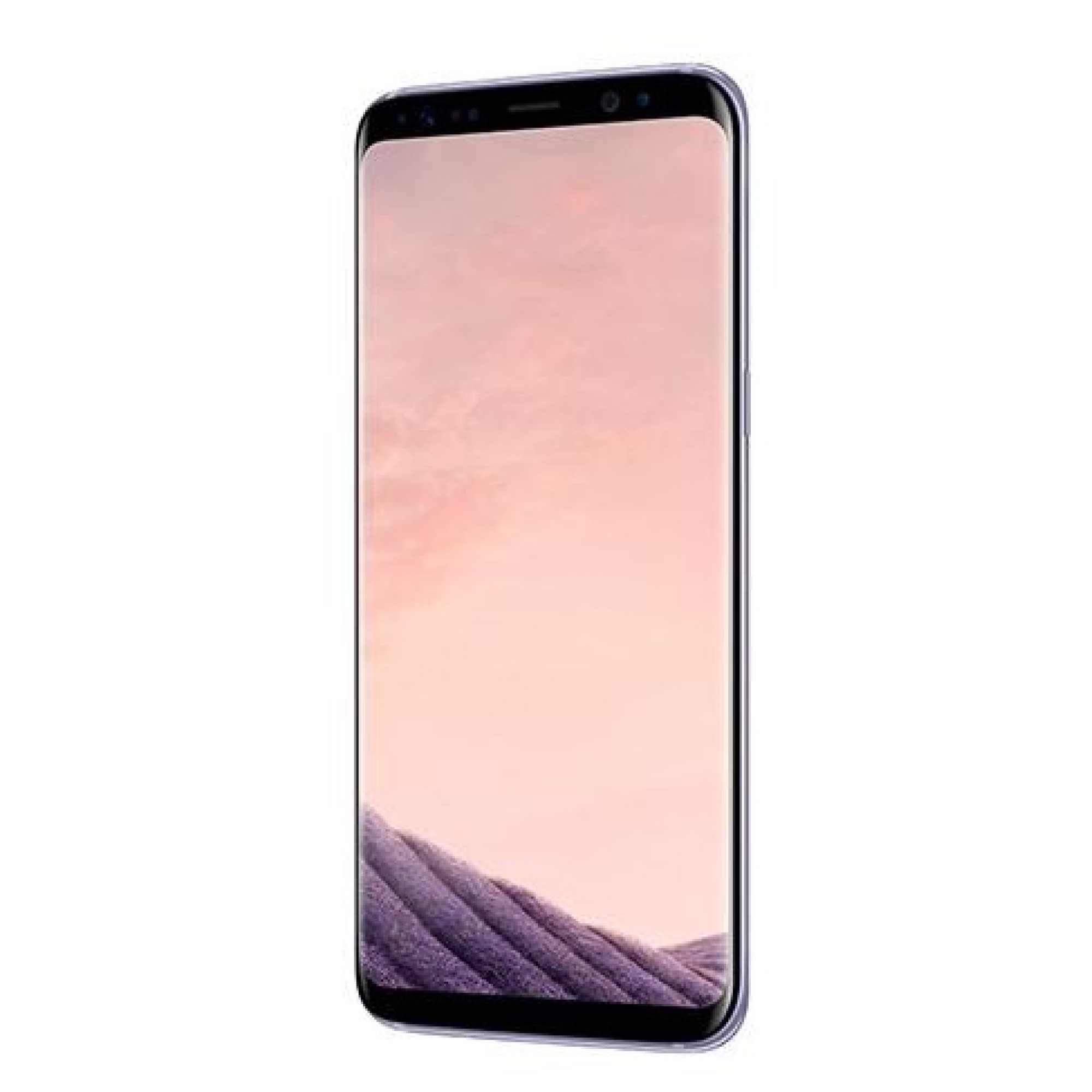 Samsung Galaxy S8 G955F DS 4 / 64GB Orchid Gray