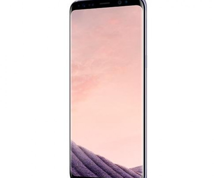 Samsung Galaxy S8 G955F DS 4 / 64GB Orchid Gray