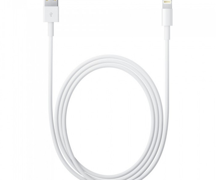 Оригинальная зарядка (зарядное устройство) USB кабель для Apple iPhone 5/5s/6/6s/6/6s Plus/7/7 Plus/8/8 Plus/X/XS/XS Max/11/11 Pro/11 Pro Max/iPad 4/Air/Air 2/Pro/Mini 2/3/4 (MD818/MQUE2)
