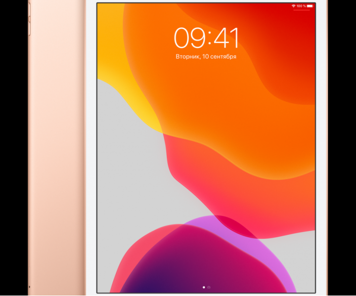 Apple iPad 10.2 Wi-Fi + Cellular 32GB Gold (MW6Y2, MW6D2)