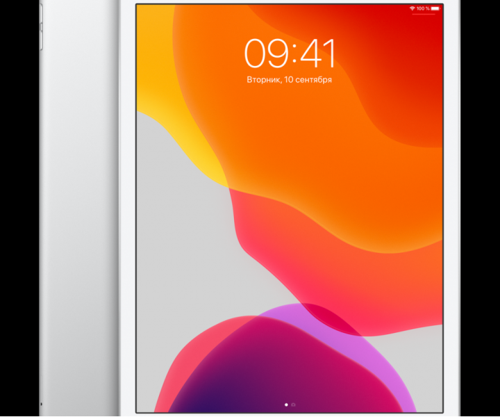 Apple iPad 10.2 Wi-Fi + Cellular 32GB Silver (MW6X2, MW6C2)