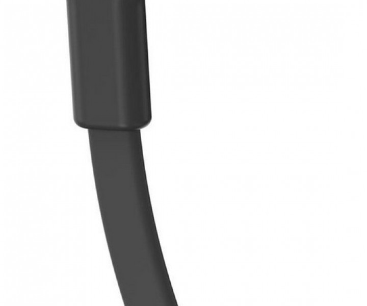 Наушники с микрофоном JBL T210 Black (JBLT210BLK)