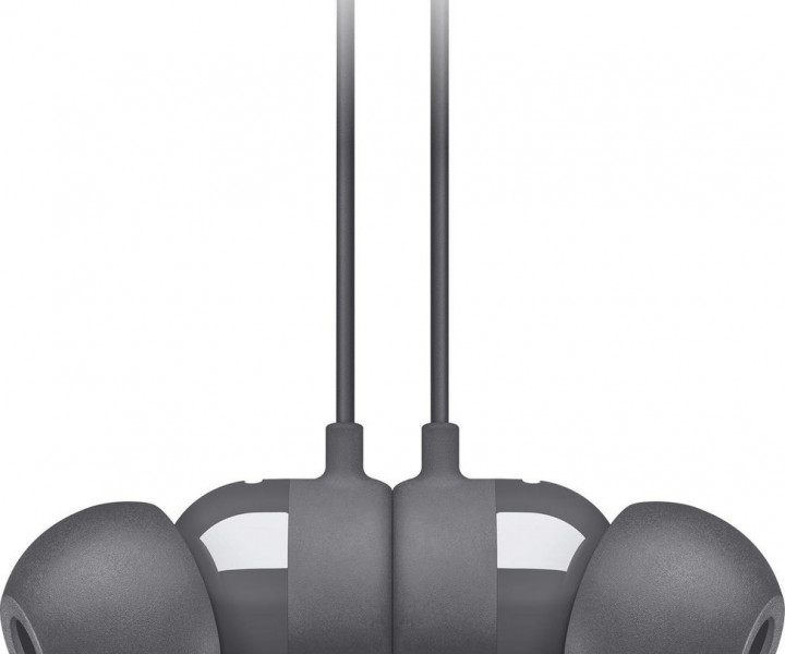 Наушники с микрофоном Beats by Dr. Dre BeatsX Earphones Gray (MNLV2) Уценка