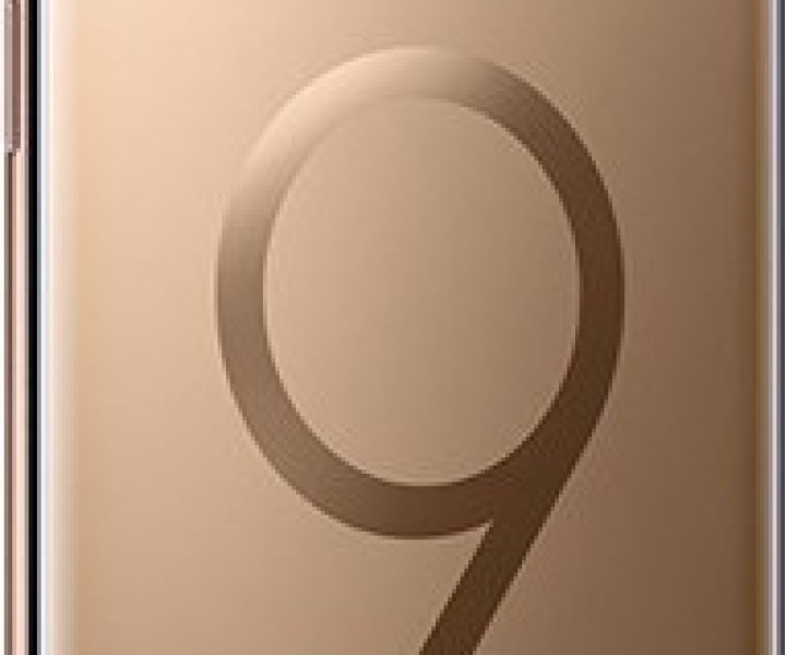 Samsung Galaxy S9 + SM-G965 DS 64GB Gold (SM-G965FZDD)