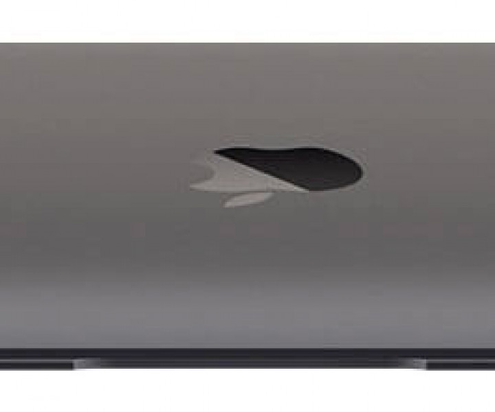 Apple MacBook 12 Space Gray (Z0TY0000K)