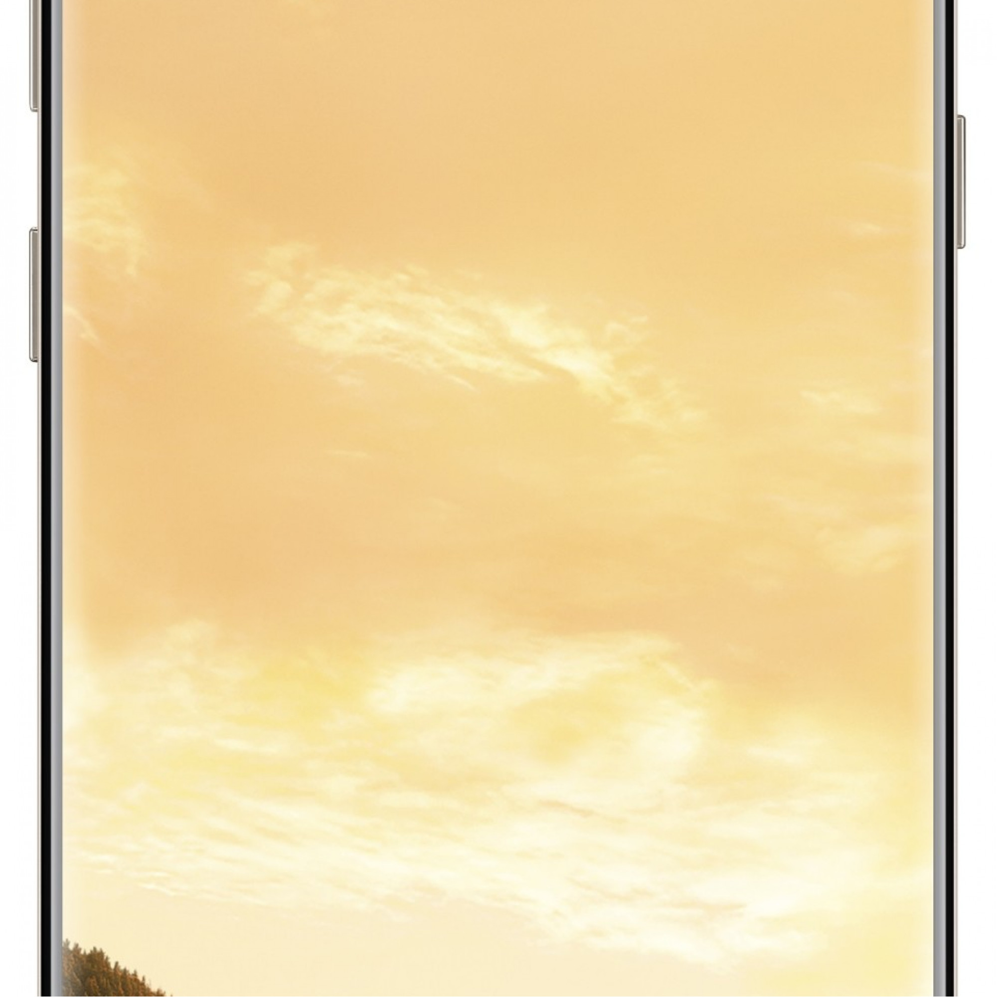 Samsung Galaxy S8 G950F SS 4 / 64GB Gold
