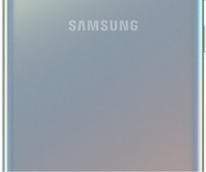 Samsung Galaxy S10 SM-G973 DS 128GB Prism Silver (SM-G973FZSD)