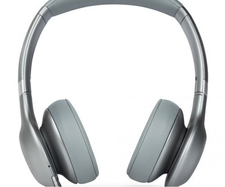 Наушники JBL Everest 310 Silver