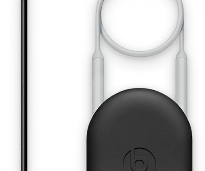 Навушники Beats by Dr. Dre BeatsX Earphones Matte Silver