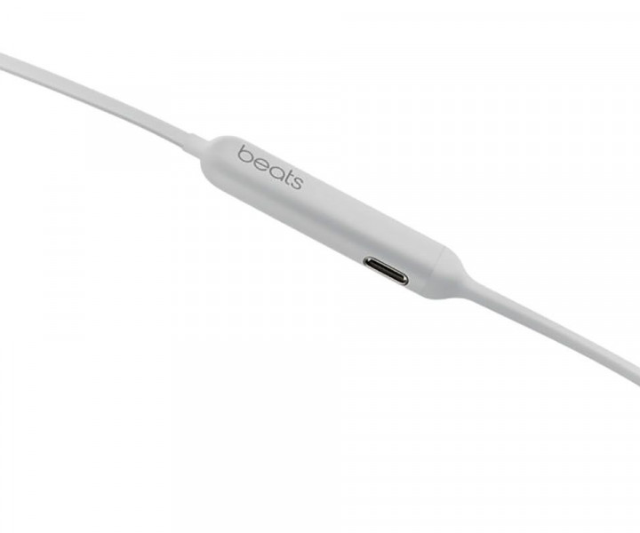 Навушники Beats by Dr. Dre BeatsX Earphones Matte Silver