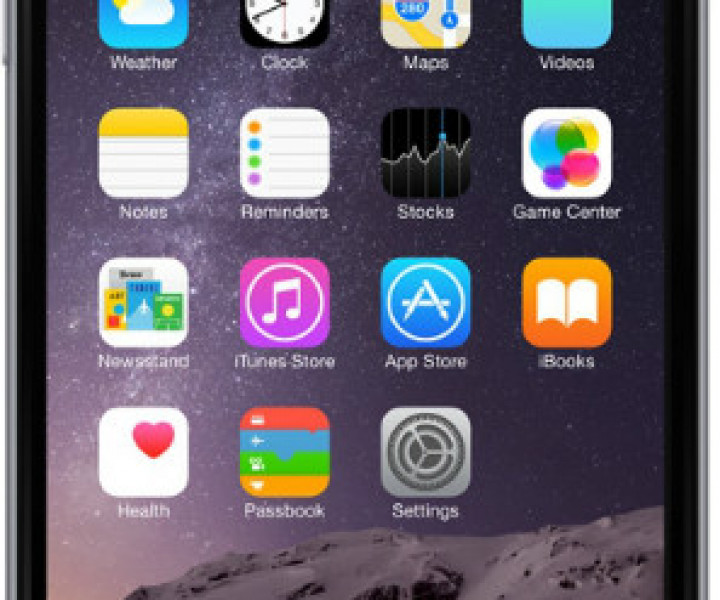 Apple iPhone 6 16gb Space Gray Neverlock