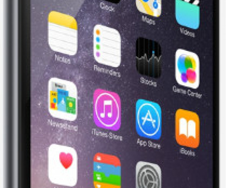 Apple iPhone 6 16gb Space Gray Neverlock