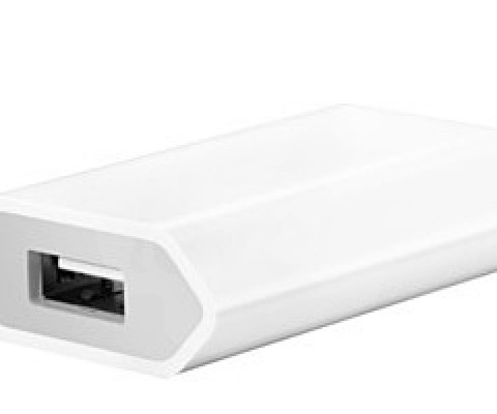 Cетевой адаптер USB - блок питания 1A для IPhone/iPod/iPad Mini (MD813)
