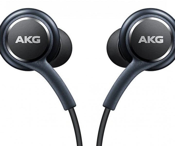 Наушники Samsung S10/Note10 AKG SM-G9730 ORI Type-C (Тех Пак)