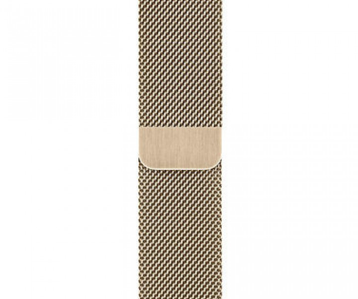 Apple Watch 6 40mm 4G Gold Stainless Steel Case with Gold (M06W3)