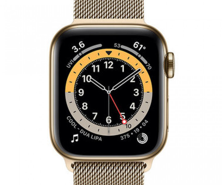 Apple Watch 6 40mm 4G Gold Stainless Steel Case with Gold (M06W3)