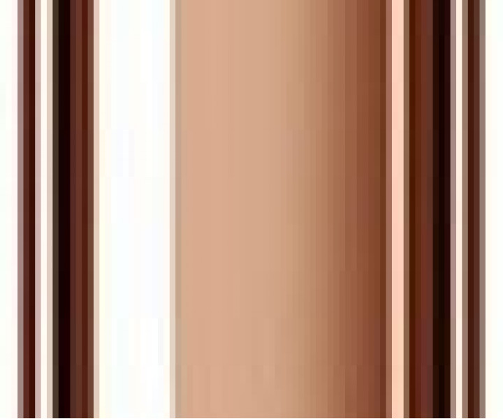 Samsung Galaxy Note 20 SM-N981B 5G 8/256GB Mystic Bronze
